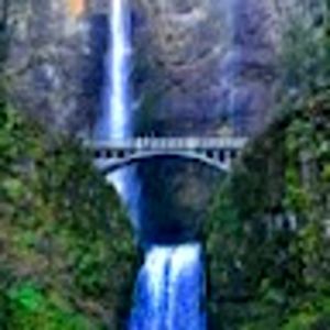 Meet your Posher, Eleanor